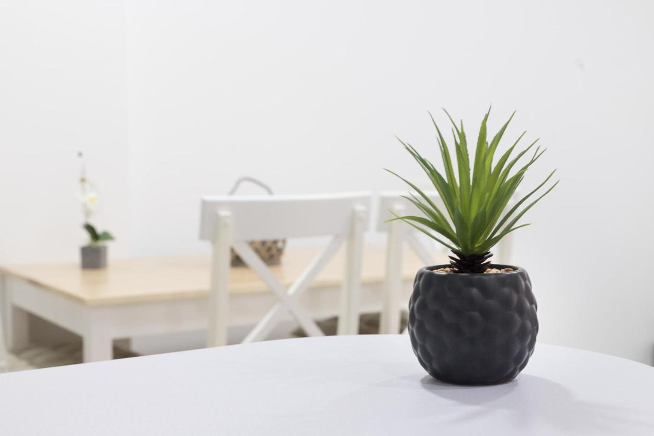 Moonkey - Apartamento Amaralba A Alicante Buitenkant foto